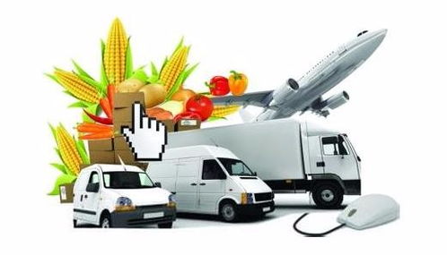 專業進出口國際物流與跨境運輸 深圳物流公司的物聯網技術服務革新