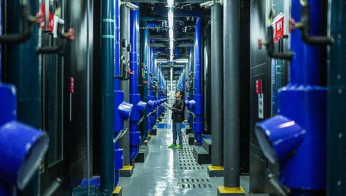 五部門(mén)聯(lián)合發(fā)力，加快構(gòu)建全國(guó)一體化算力網(wǎng)，賦能物聯(lián)網(wǎng)技術(shù)新飛躍